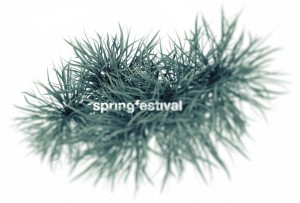 160529_springfestival_pflanze